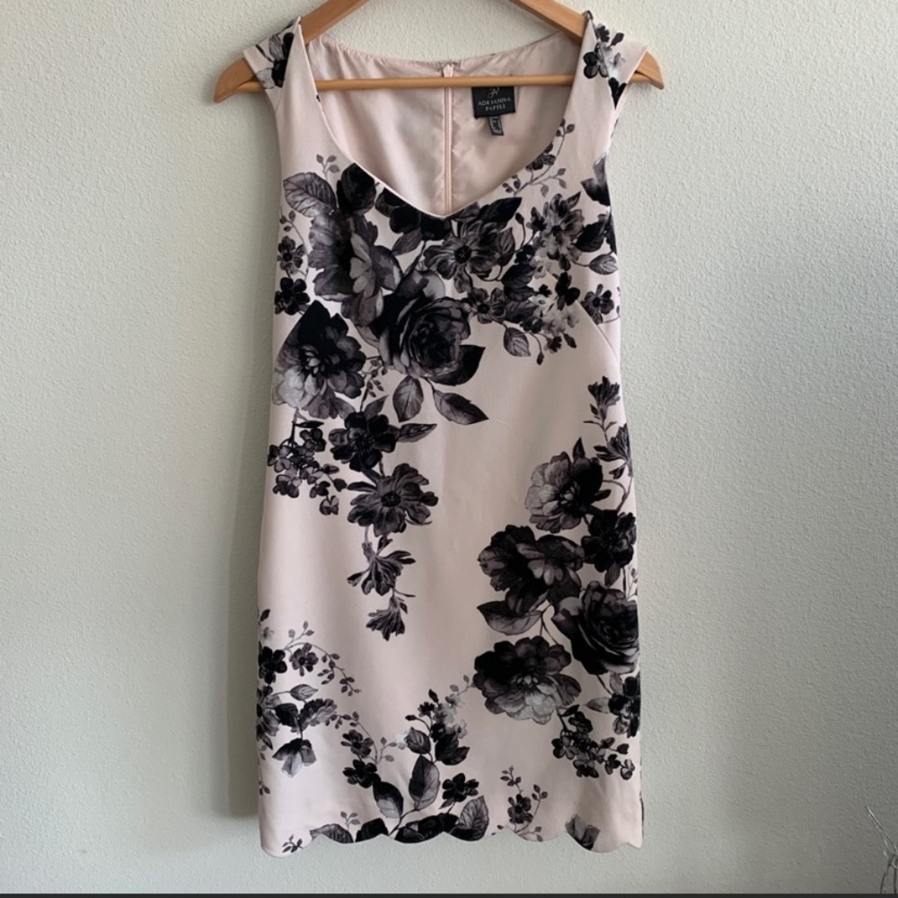 Adrianna Papell Pink & Black Floral Dress